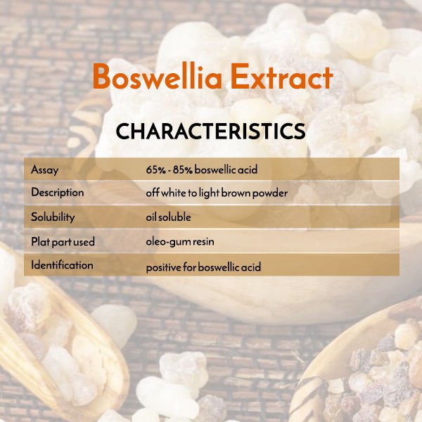 Boswellia Extract Specifications